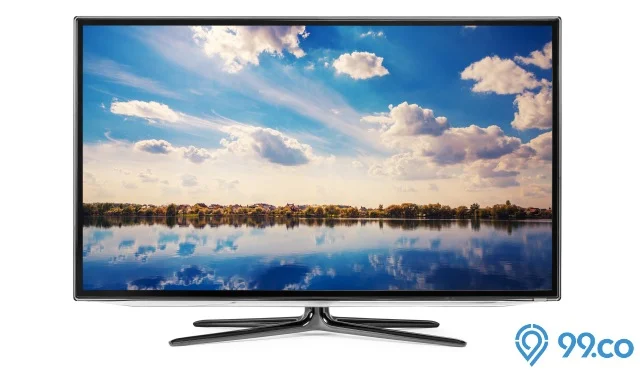 TV MONITOR 43 INCHI